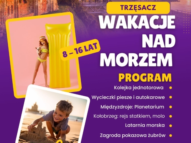 Purple and Yellow Minimalist Summer Camp Flyer
